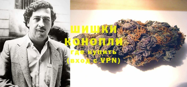 крисы Белокуриха