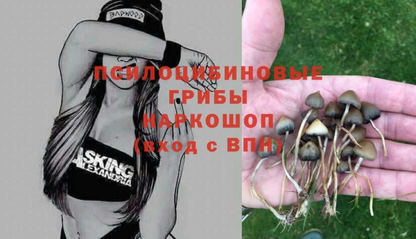 крисы Белокуриха