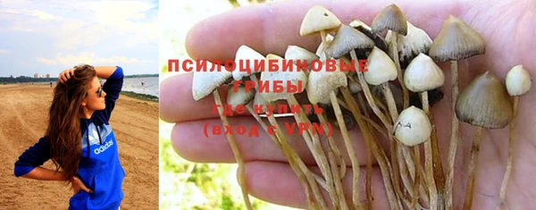 крисы Белокуриха