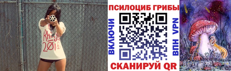 как найти наркотики  Губкинский  Псилоцибиновые грибы Psilocybine cubensis 